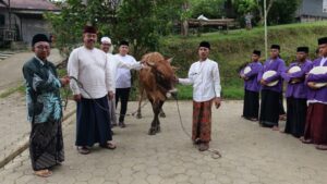 Foto: Penyerahan hewan kurban. (doc.)