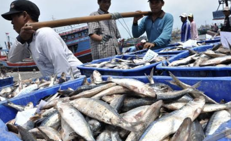 Foto: Ilustrasi budaya perikanan Kabupaten Kukar.