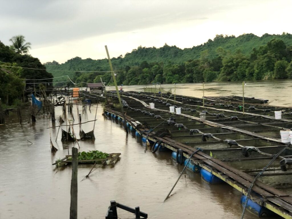 Foto: Desa Embalut. (Ist)