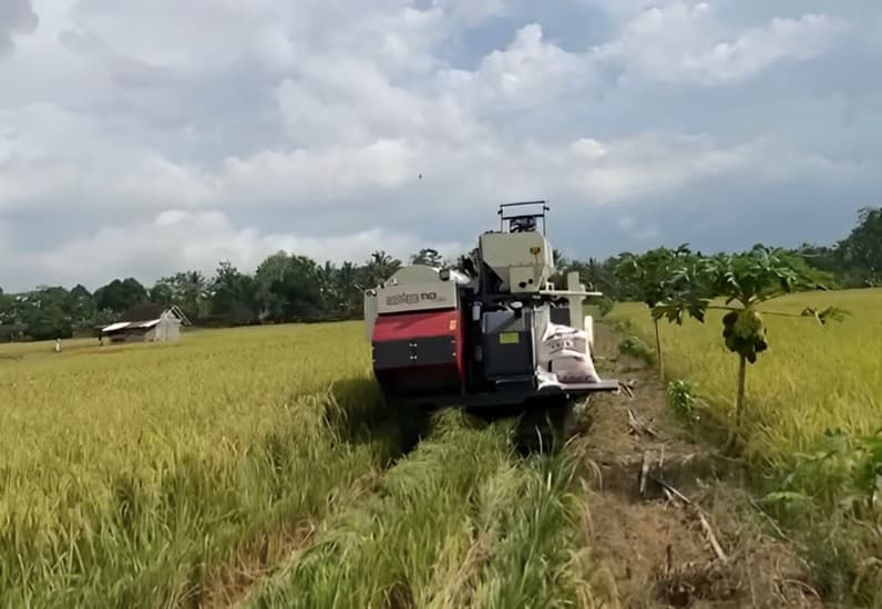 Foto: Lumbung pangan.