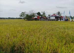 Foto: Desa Segihan.
